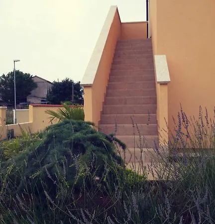 Marse Segotici