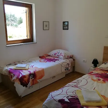 Marse Segotici